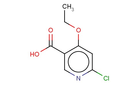 6-CHLORO-4-ETHOXYNICOTINIC ACID